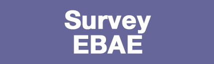 Survey <abbr xml:lang="es" lang="es" title="Encuesta del Banco de España sobre la actividad empresarial">EBAE</abbr> 