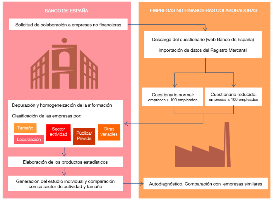 Gráfica del ciclo de colaboración de las empresas con la Central de Balances