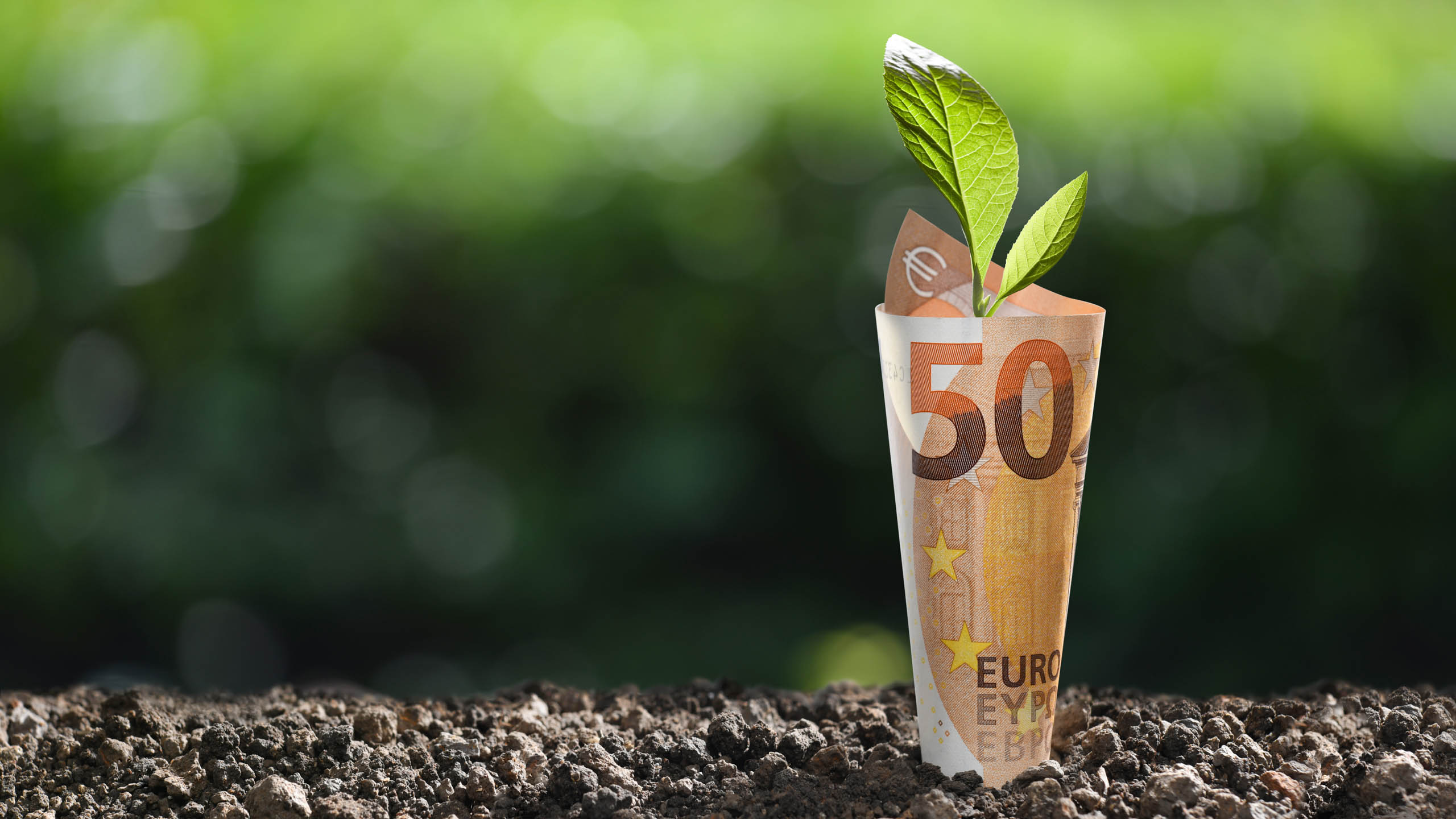 La huella medioambiental de los billetes en euros