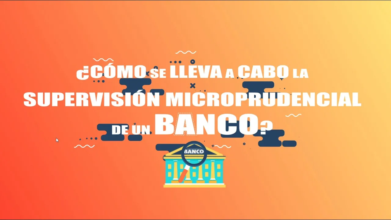 Img supervision micropudencial